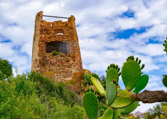 Apartment Breeze House *