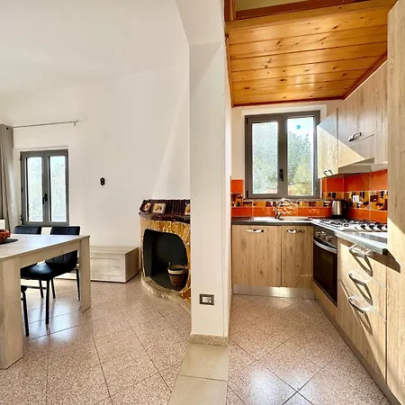 Breeze House * בארי סארדו